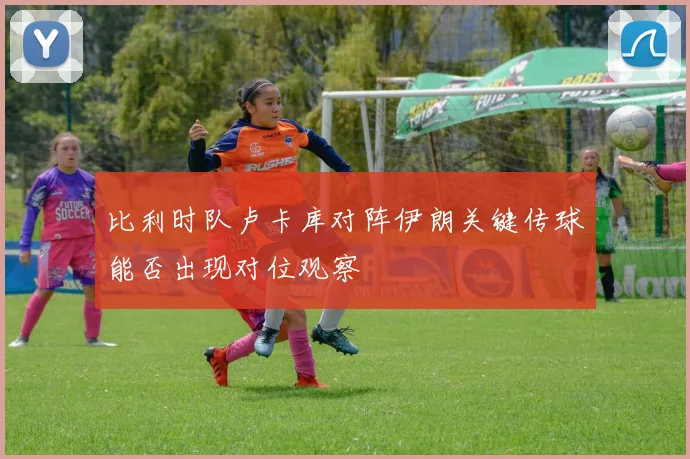 比利时队卢卡库对阵伊朗关键传球能否出现对位观察