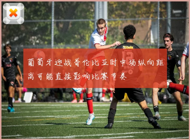 葡萄牙迎战哥伦比亚时中场纵向距离可能直接影响比赛节奏