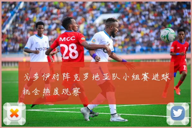 戈多伊对阵克罗地亚队小组赛进球机会热度观察